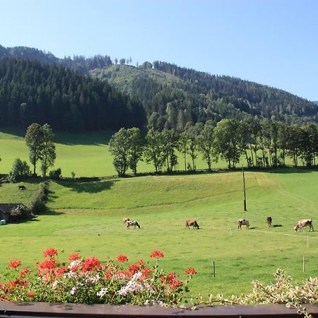 Blonbauer Villa Schladming Eksteriør billede