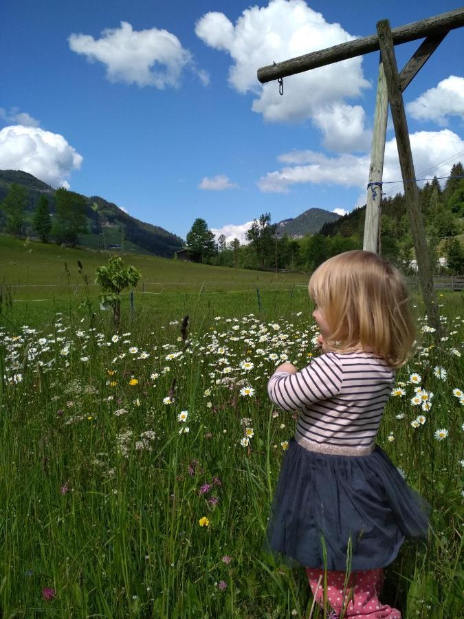 Blonbauer Villa Schladming Eksteriør billede