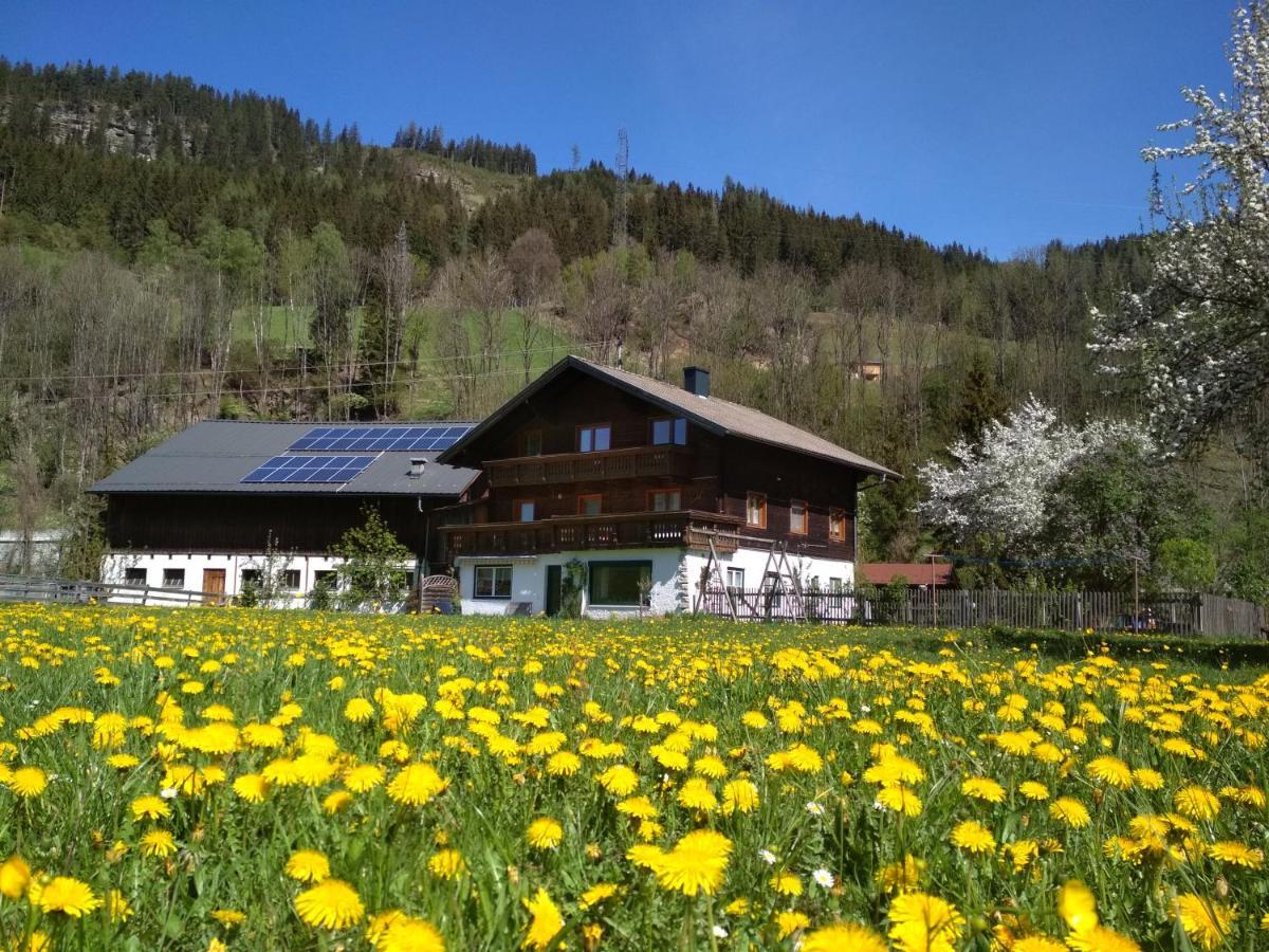 Blonbauer Villa Schladming Eksteriør billede