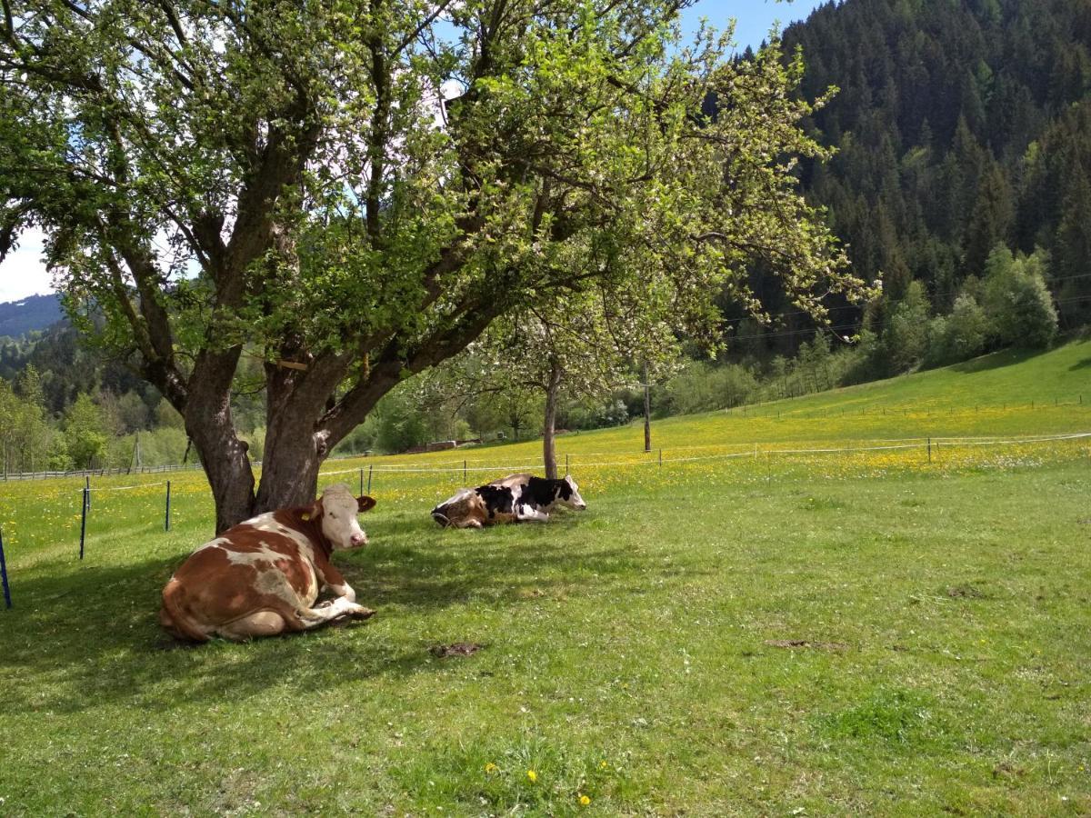 Blonbauer Villa Schladming Eksteriør billede