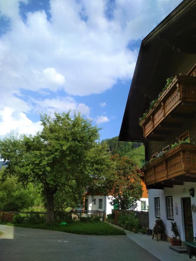 Blonbauer Villa Schladming Eksteriør billede